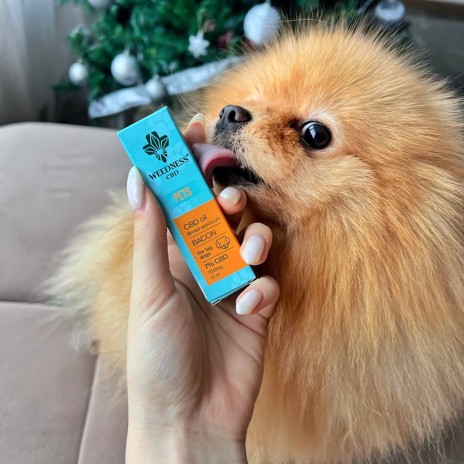 CBD-Öl 7% für große Hunde | Speck 10ml